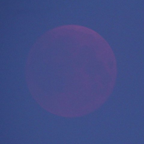 青空に溶け込む月