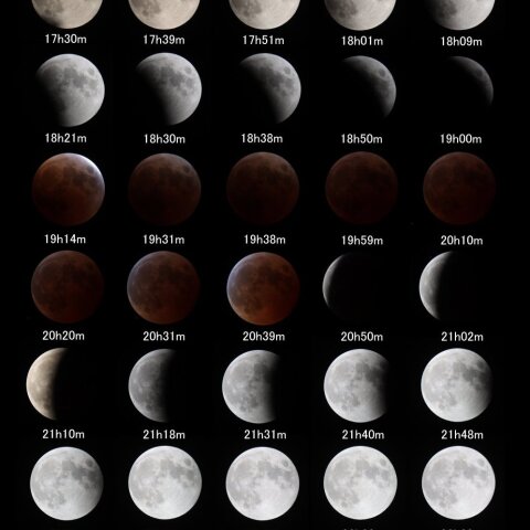Total Lunar Eclipse of Nov 8 2022