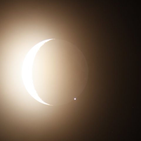 ビーナスの出現