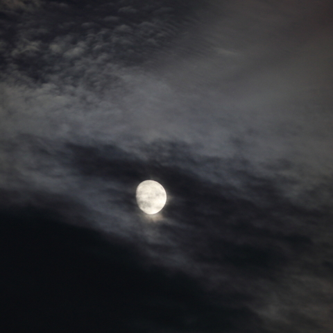 後の月（十三夜）