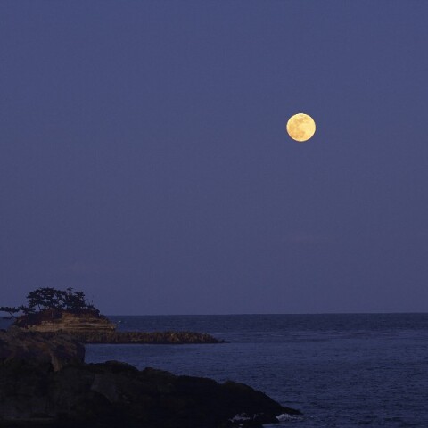 フラワームーン