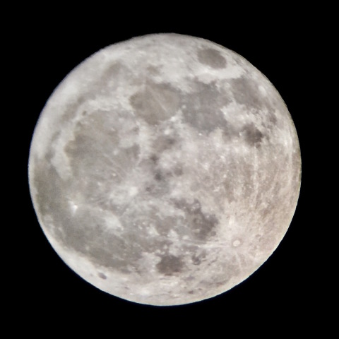 11月23日 満月（月齢15.5）