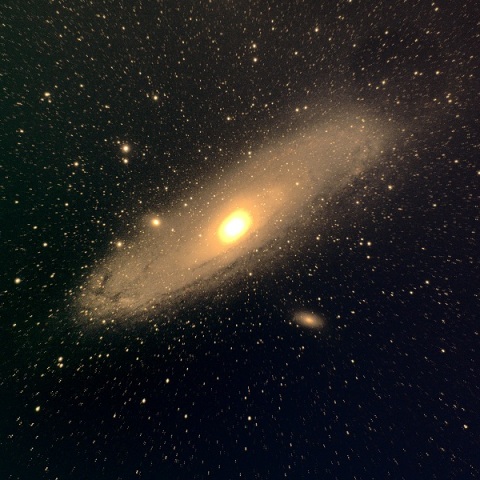 M31