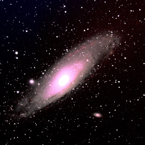 M31