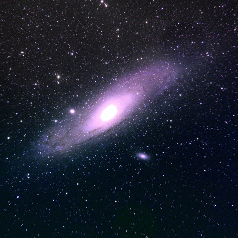 M31