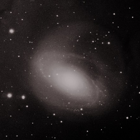 M81 