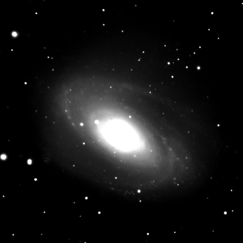 M81 