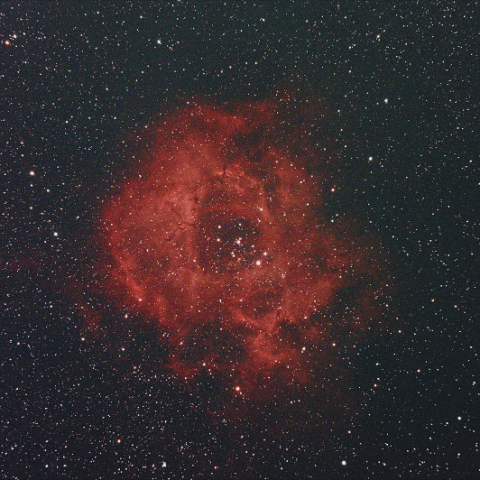 N2237-9 ばら星雲