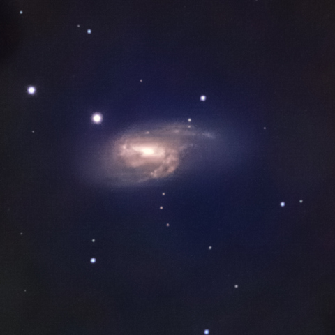 M66