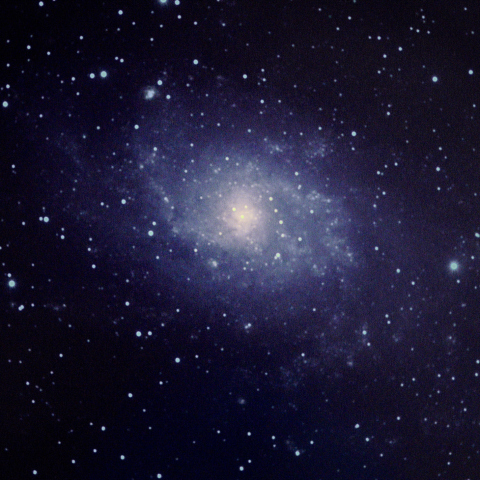 M33