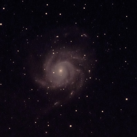 M101
