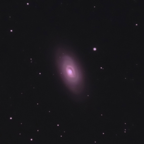 M64