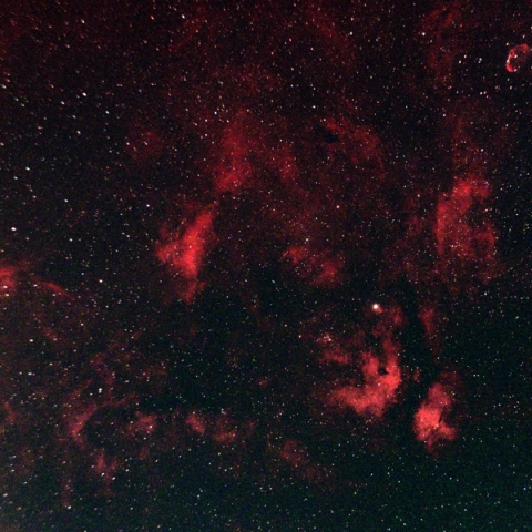 IC1318 サドル周辺