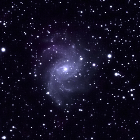 NGC6946