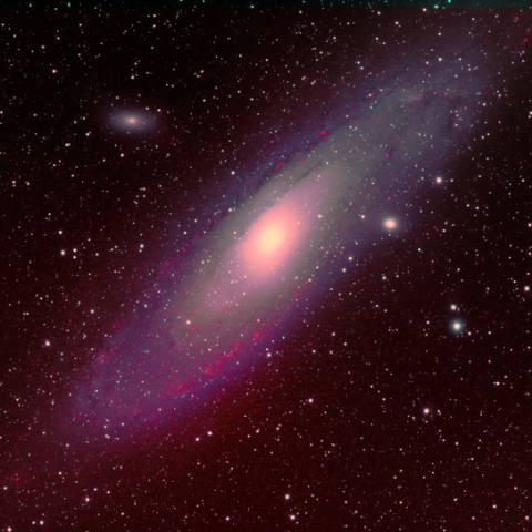 M31
