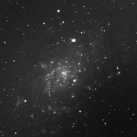 M33 H-alpha view