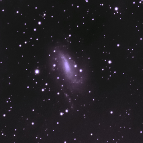 NGC925 NIR-view