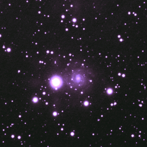 IC239 NIR-view