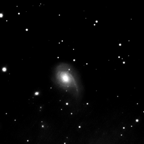 NGC772  おひつじ座の銀河 NIR-view
