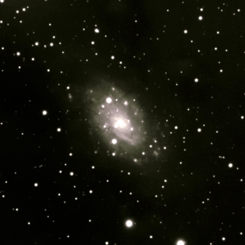 NGC2403 Gx CAM