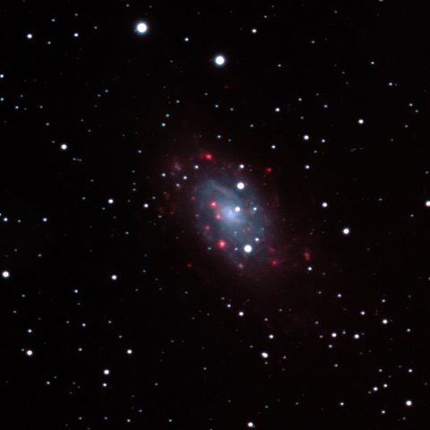 NGC2403 GX CAM