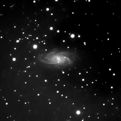 NGC2336 Gx CAM