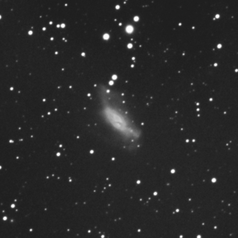 NGC2146 Gx CAM