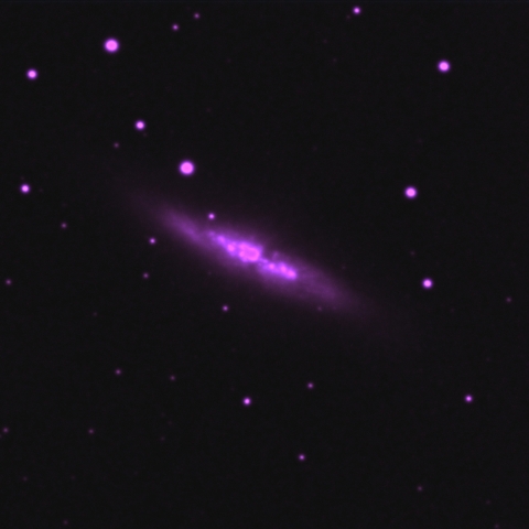 M82 Gx UMA