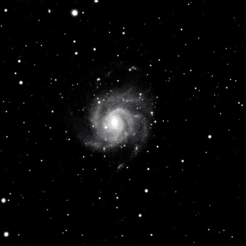 M101:市街地で近赤外撮影