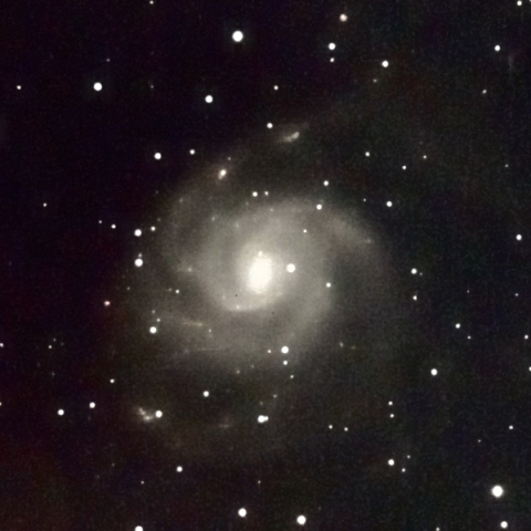 M101