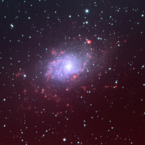 M33 A:IR:IR合成