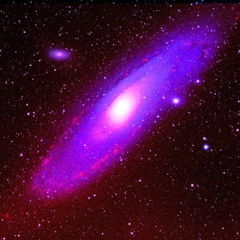 M31