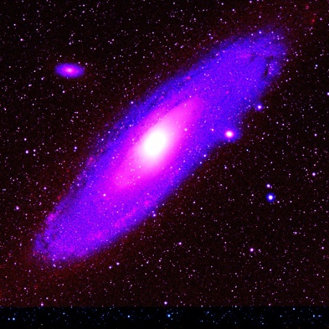M31