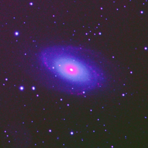 M81 Hα強調