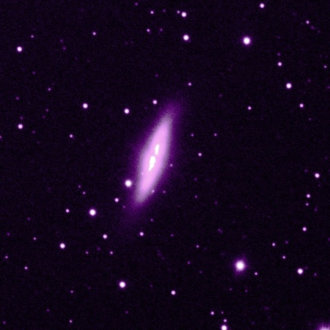 M82