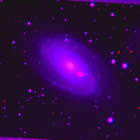 M81