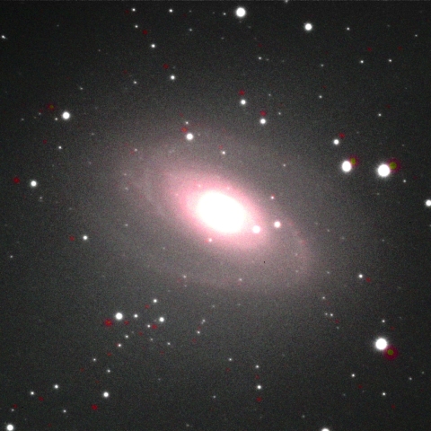 M81