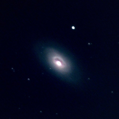 M64
