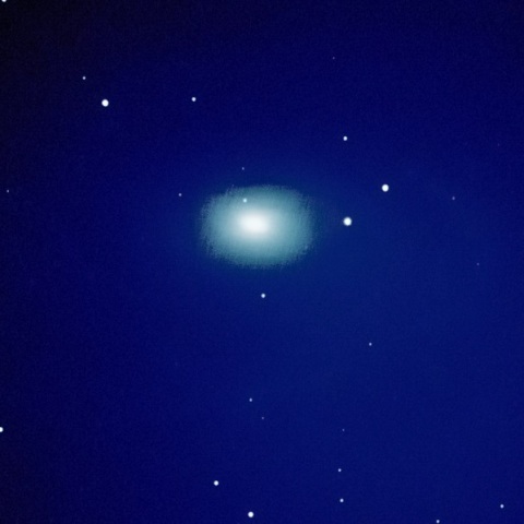M81