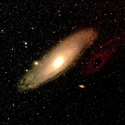 M31