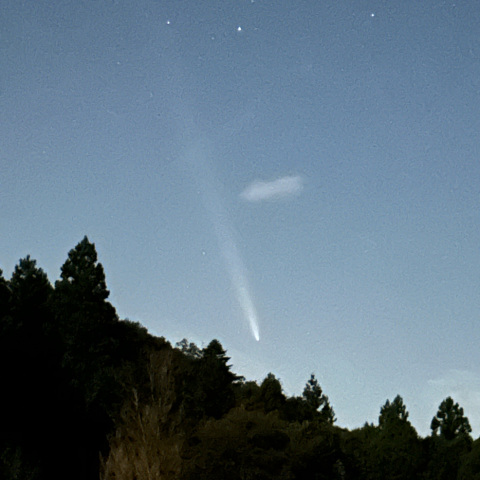 紫金山・アトラス Tsuchinshan-ATLAS (C/2023 A3)