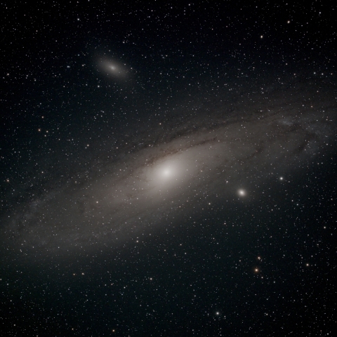 M31