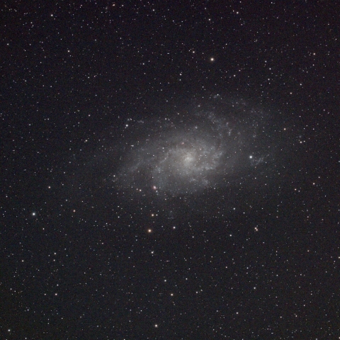 M33