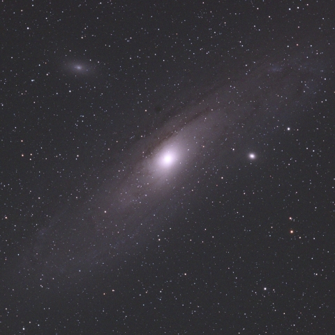 M31