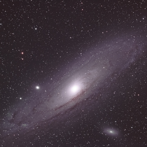 M31