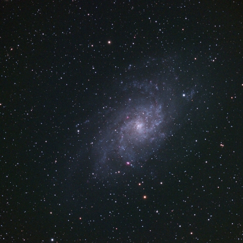 M33