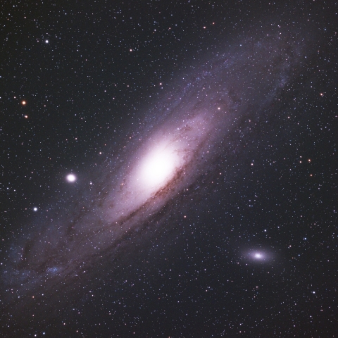 M31