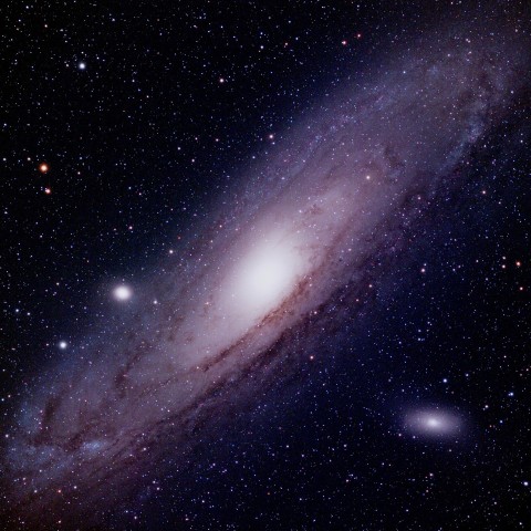 M31
