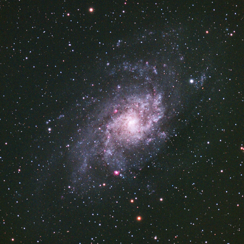 M33