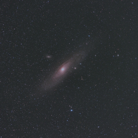 M31